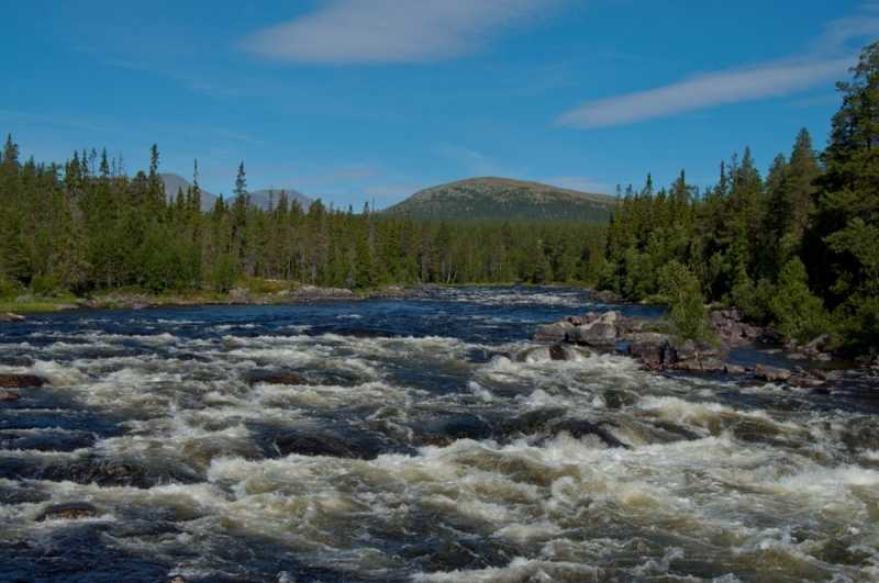 łowienie w skandynawii